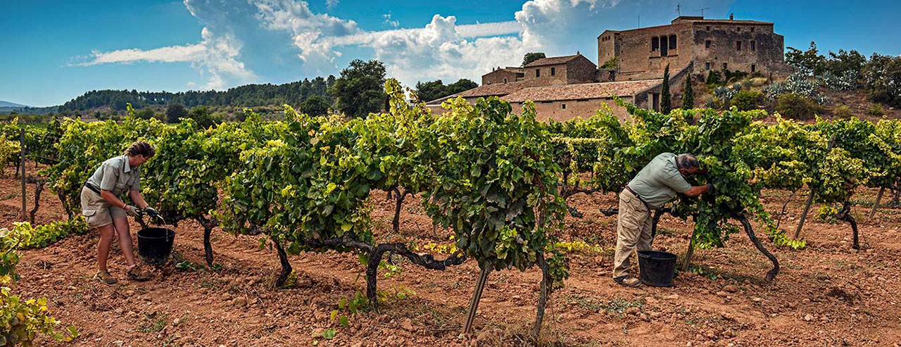 Vinos de Barcelona