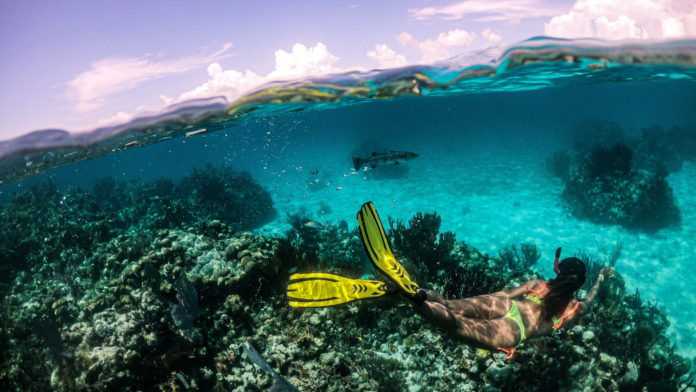 Belize alberga la segunda barra arrecifal más del mundo