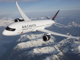 Air Canada transporta animales vivos al contar con certificación de IATA