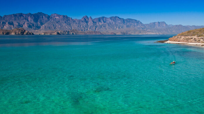 Foro Mar de Cortés propone un turismo sustentable