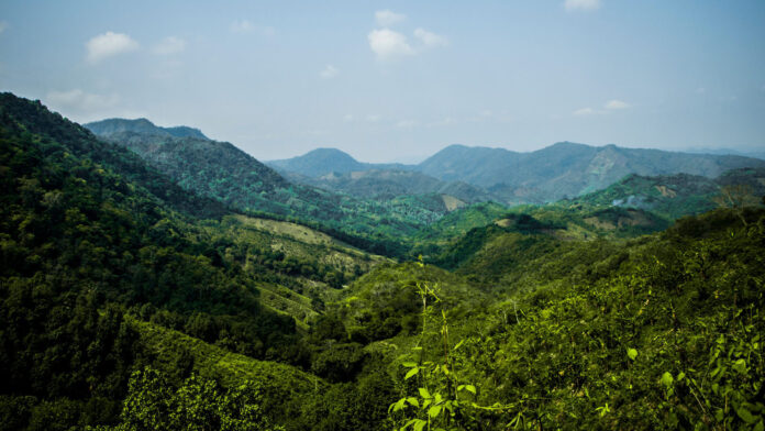 Transición hacia un turismo verde