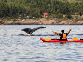 Los placeres de la primavera en Québec, Kayak_Manicouagan