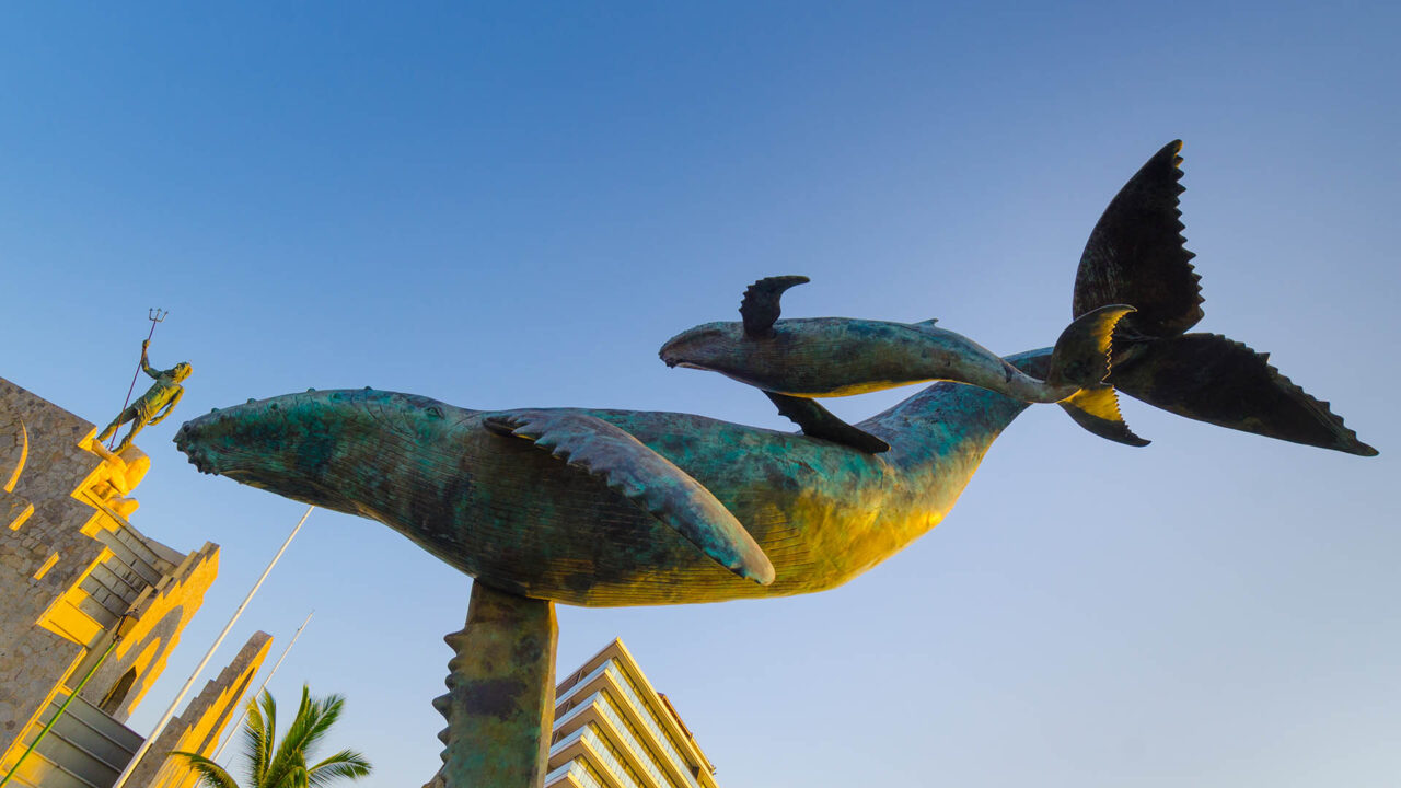 La Ballena Vallarta, también conocida como "la Ballena Bailarina" es una obra realizada por el artista Octavio González. Ícono de este destino.