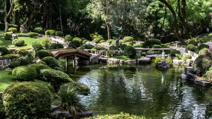 Bosque Los Colomos