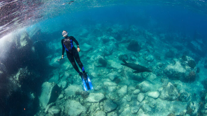 Explora las profundidades de La Paz, Baja California Sur