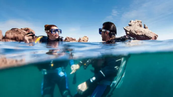 Bucea en Baja California Sur: un paraíso submarino en el Mar de Cortés