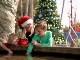 Vive la magia de esta temporada en SeaWorld San Diego