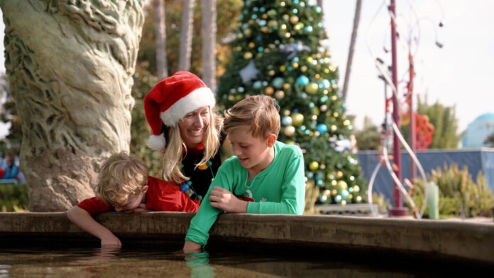 Vive la magia de esta temporada en SeaWorld San Diego