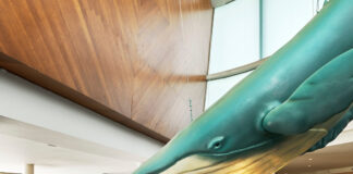 Iberostar Hotels & Resorts, una visión de turismo responsable