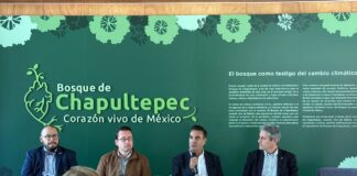 Sustainable & Social Tourism Summit celebra una década en la Ciudad de México