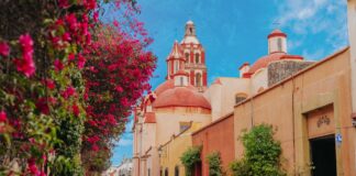Querétaro entre copas, sabores y momentos: el plan perfecto para un fin de semana
