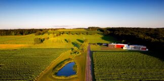 El nuevo mapa del vino estadounidense: seis destinos para descubrir más allá de Napa
