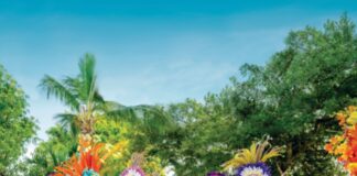 Las Bahamas entran al radar de los viajeros mexicanos con nuevo vuelo directo