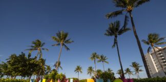 Miami estrena temporada con nuevos hoteles, restaurantes y experiencias