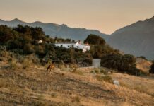 La Donaira: el lujo de volver a conectar con la naturaleza