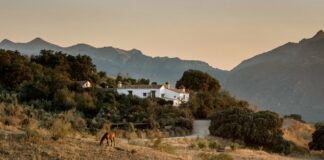 La Donaira: el lujo de volver a conectar con la naturaleza