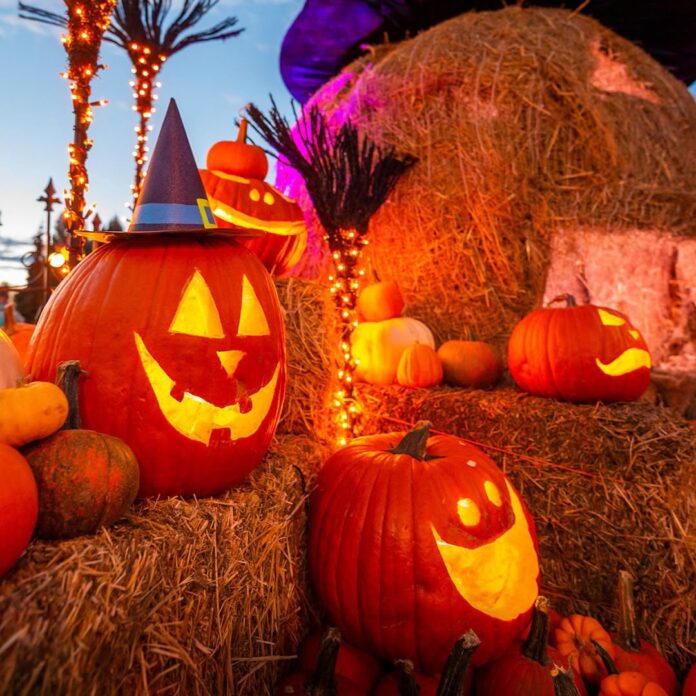 Halloween en denver
